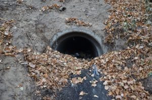 Storm Drain Cleanout Florida